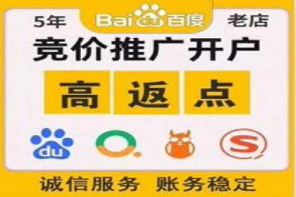 竞价广告赚钱：百度平台成功案例分析
